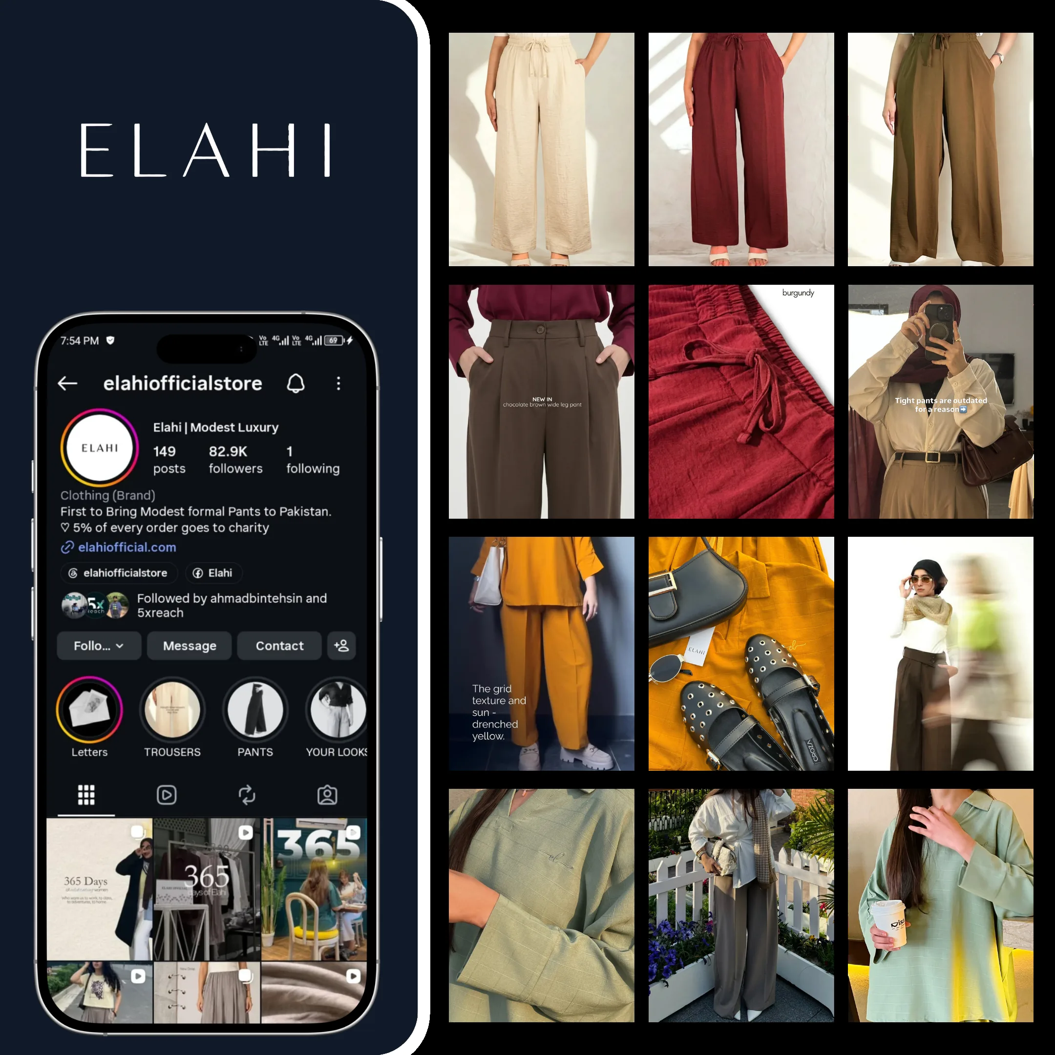 Elahi campaign